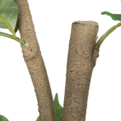 Green Nandina Tree In Black Planter-Kirkland's Home Cheap
