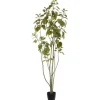 Green Potted Cotinus Coggygria Tree, 6 Ft.-Kirkland's Home Cheap