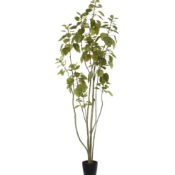 Green Potted Cotinus Coggygria Tree, 6 Ft.-Kirkland's Home Cheap