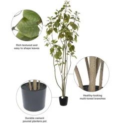 Green Potted Cotinus Coggygria Tree, 6 Ft.-Kirkland's Home Cheap
