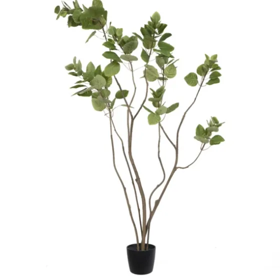 Green Potted Cotinus Coggygria Tree, 4 Ft.-Kirkland's Home Online