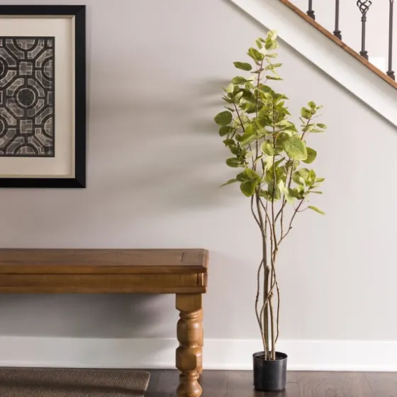 Green Potted Cotinus Coggygria Tree, 4 Ft.-Kirkland's Home Online