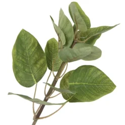 Green Potted Cotinus Coggygria Tree, 4 Ft.-Kirkland's Home Online