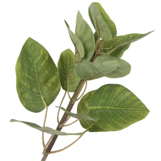Green Potted Cotinus Coggygria Tree, 4 Ft.-Kirkland's Home Online