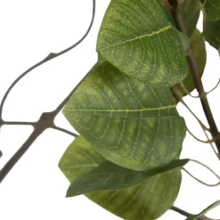 Green Potted Cotinus Coggygria Tree, 4 Ft.-Kirkland's Home Online