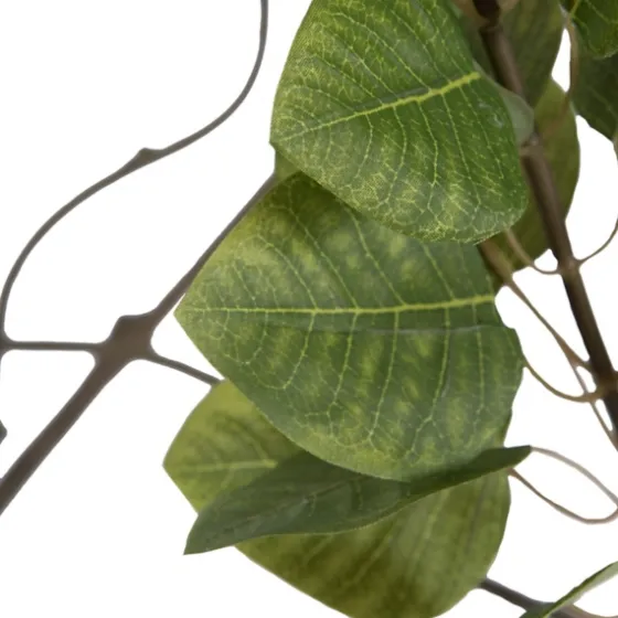 Green Potted Cotinus Coggygria Tree, 4 Ft.-Kirkland's Home Online