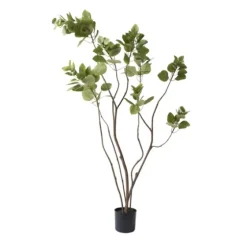 Green Potted Cotinus Coggygria Tree, 4 Ft.-Kirkland's Home Online