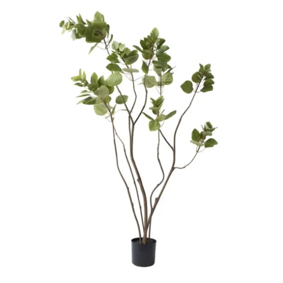 Green Potted Cotinus Coggygria Tree, 4 Ft.-Kirkland's Home Online