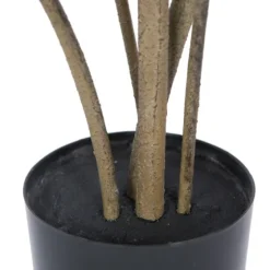 Green Potted Cotinus Coggygria Tree, 4 Ft.-Kirkland's Home Online