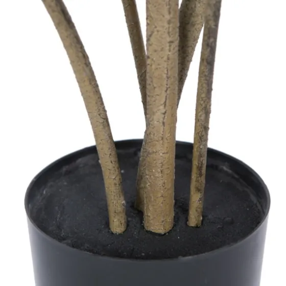 Green Potted Cotinus Coggygria Tree, 4 Ft.-Kirkland's Home Online