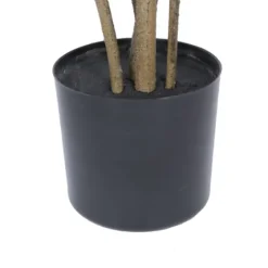 Green Potted Cotinus Coggygria Tree, 4 Ft.-Kirkland's Home Online