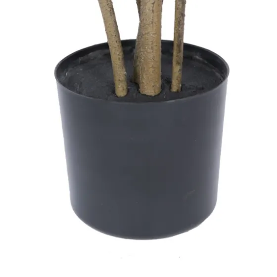 Green Potted Cotinus Coggygria Tree, 4 Ft.-Kirkland's Home Online