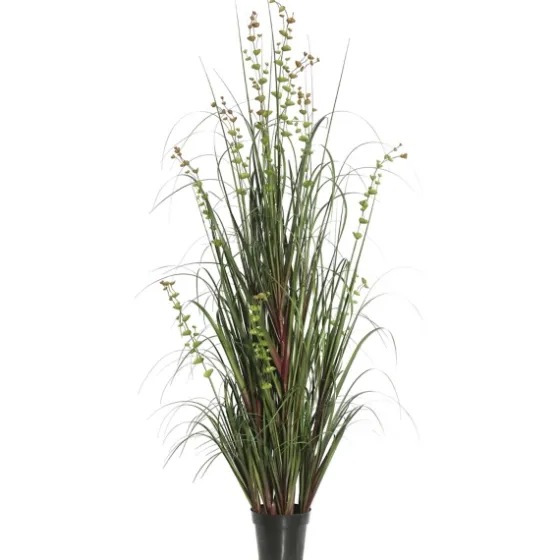 Green Potted Eucalyptus Grass, 24 In.-Kirkland's Home Best