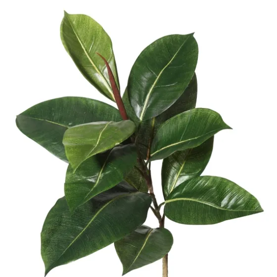 Green Rubber Tree, 6 Ft.-Kirkland's Home Cheap