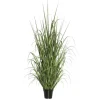Green Ryegrass Potted Plant-Kirkland's Home Store