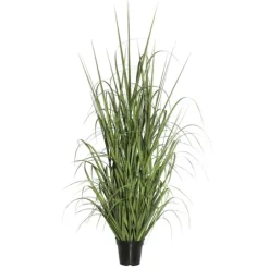 Green Ryegrass Potted Plant-Kirkland's Home Store