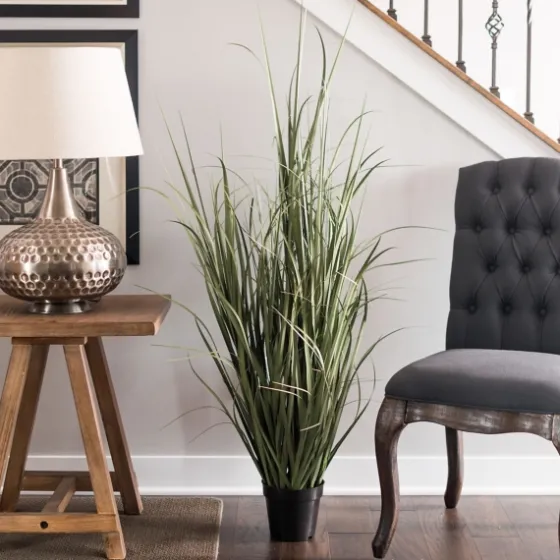 Green Ryegrass Potted Plant-Kirkland's Home Store