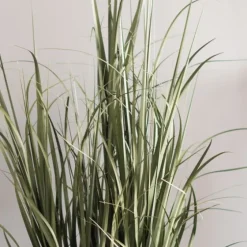 Green Ryegrass Potted Plant-Kirkland's Home Store