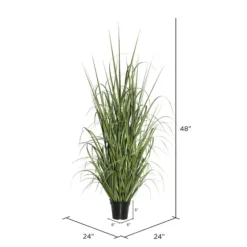 Green Ryegrass Potted Plant-Kirkland's Home Store