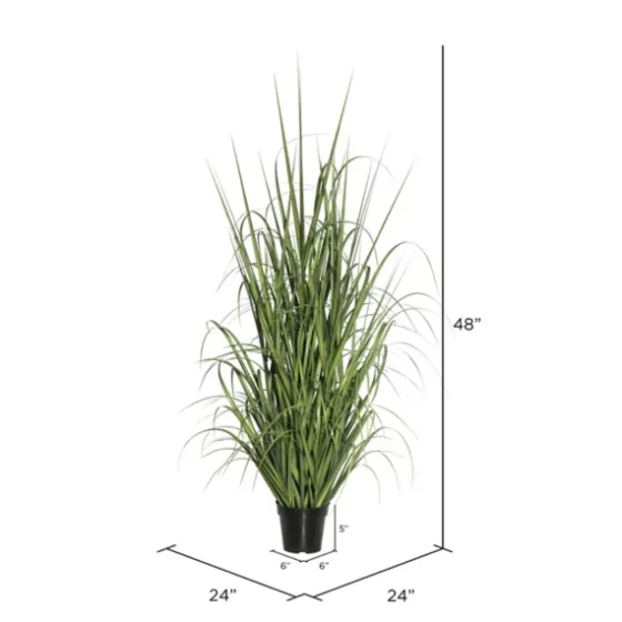 Green Ryegrass Potted Plant-Kirkland's Home Store