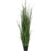 Green Sheep Grass Potted Plant-Kirkland's Home Cheap