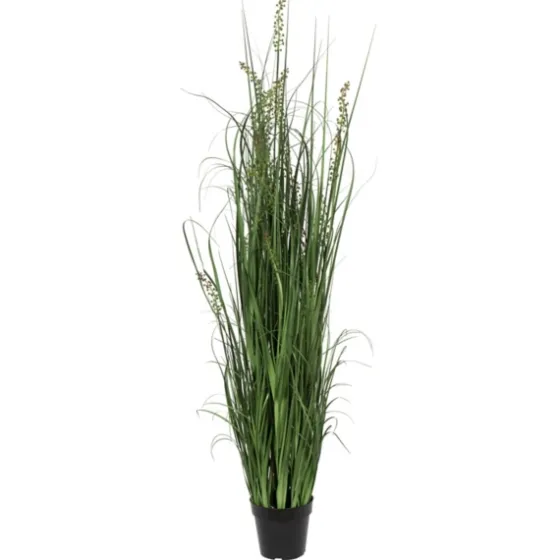 Green Sheep Grass Potted Plant-Kirkland's Home Cheap