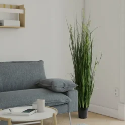 Green Sheep Grass Potted Plant-Kirkland's Home Cheap