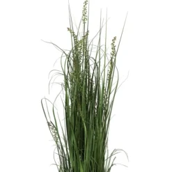 Green Sheep Grass Potted Plant-Kirkland's Home Cheap