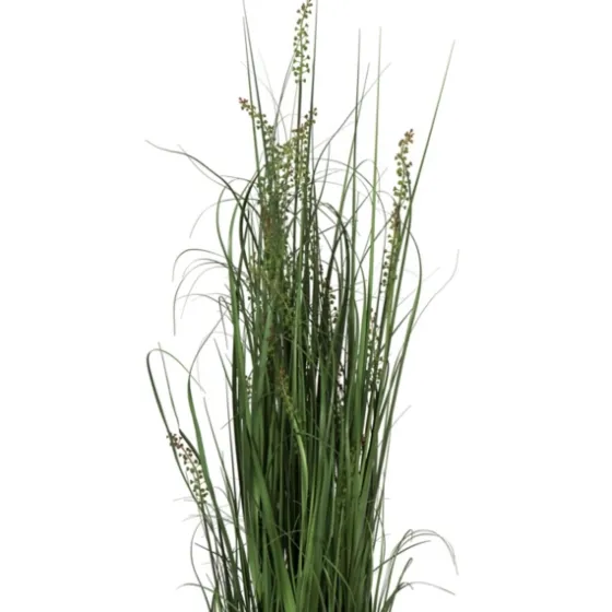 Green Sheep Grass Potted Plant-Kirkland's Home Cheap