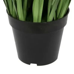 Green Sheep Grass Potted Plant-Kirkland's Home Cheap
