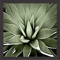 Green Succulent Iii Framed Canvas Art-Kirkland's Home Shop