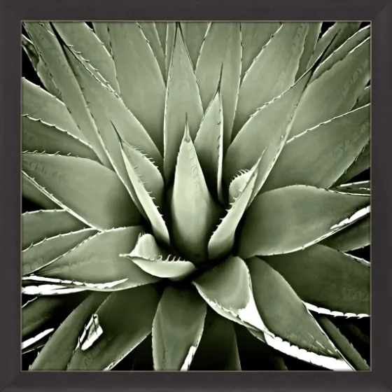 Green Succulent Iii Framed Canvas Art-Kirkland's Home Shop