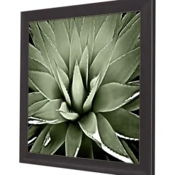 Green Succulent Iii Framed Canvas Art-Kirkland's Home Shop