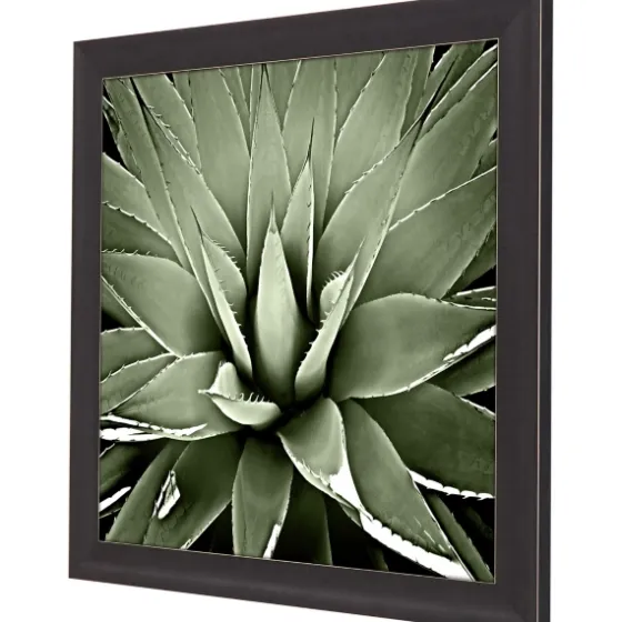 Green Succulent Iii Framed Canvas Art-Kirkland's Home Shop