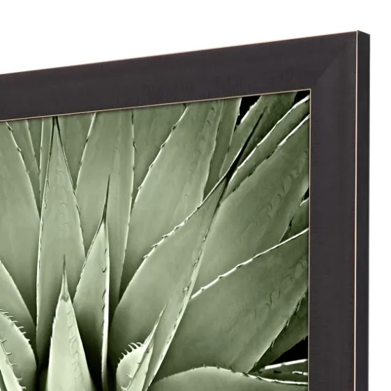 Green Succulent Iii Framed Canvas Art-Kirkland's Home Shop