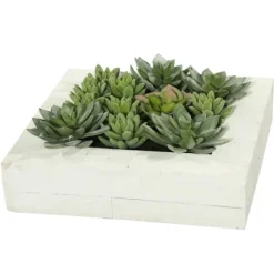 Green Succulents In White Rustic Planter-Kirkland's Home Flash Sale