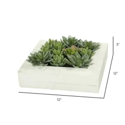 Green Succulents In White Rustic Planter-Kirkland's Home Flash Sale