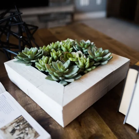 Green Succulents In White Rustic Planter-Kirkland's Home Flash Sale