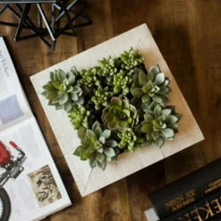 Green Succulents In White Rustic Planter-Kirkland's Home Flash Sale