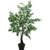 Green Variegated Leaf Ficus Tree-Kirkland's Home Outlet