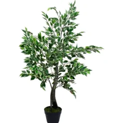 Green Variegated Leaf Ficus Tree-Kirkland's Home Outlet