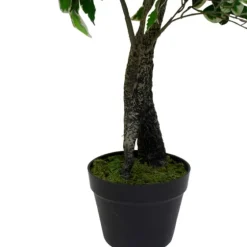 Green Variegated Leaf Ficus Tree-Kirkland's Home Outlet
