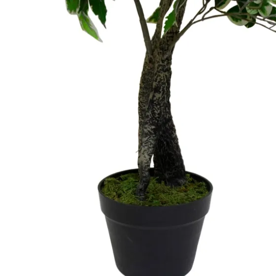 Green Variegated Leaf Ficus Tree-Kirkland's Home Outlet