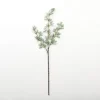 Green Yucca Stem-Kirkland's Home Online
