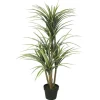 Green Yucca Tree In Black Planter-Kirkland's Home Store