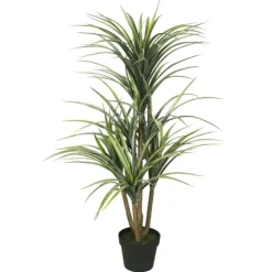 Green Yucca Tree In Black Planter-Kirkland's Home Store