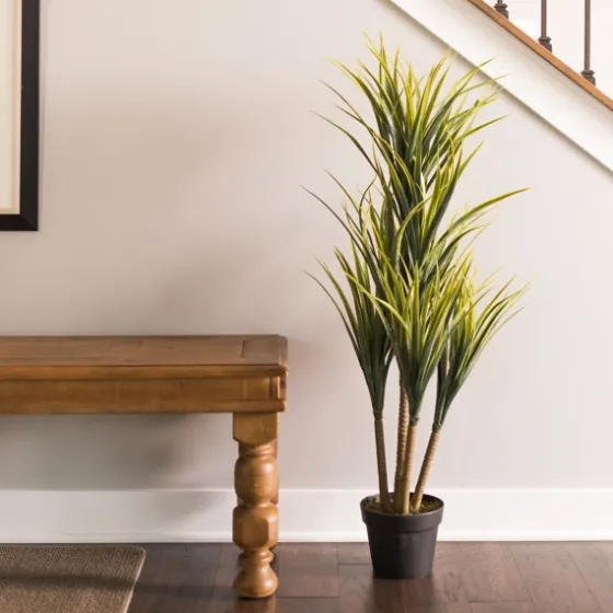 Green Yucca Tree In Black Planter-Kirkland's Home Store