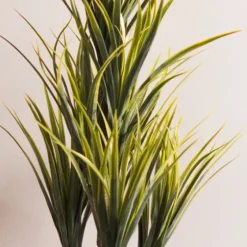 Green Yucca Tree In Black Planter-Kirkland's Home Store