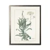 Greenery Botanical Ii Pewter Framed Art Print-Kirkland's Home Outlet