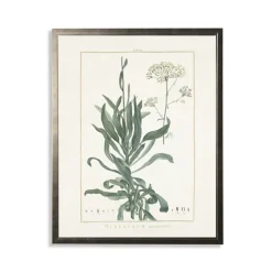 Greenery Botanical Ii Pewter Framed Art Print-Kirkland's Home Outlet